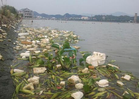 昨天,市人大常委会党组书记,常务副主任谢烈鹏带领潮州的省人大代表