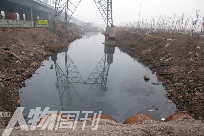 爆炸事故原址的大坑已经填平,四周种上了树苗进行生态修复。（梁辰/图）