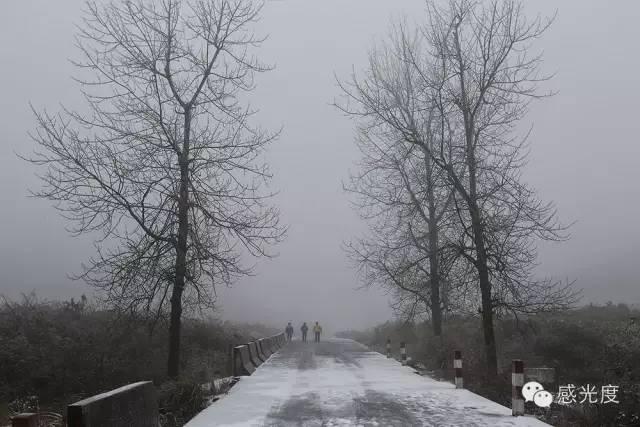 扶老携幼，在雪地上撒点野