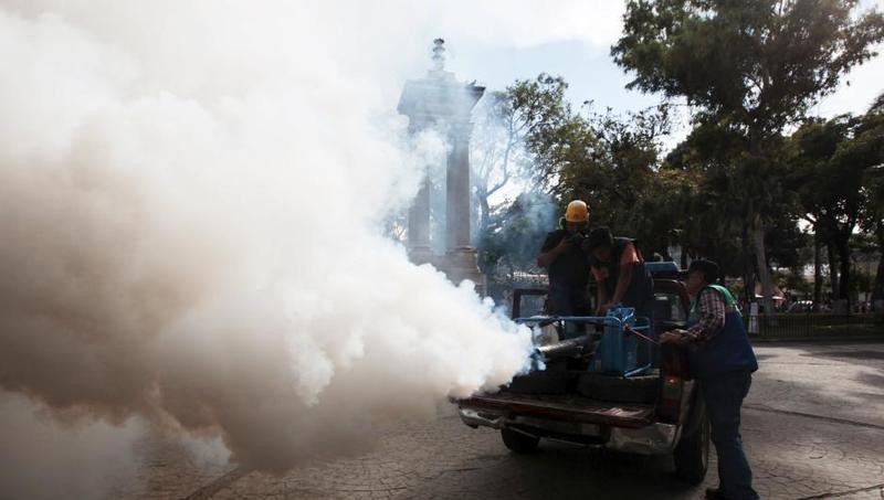 在萨尔瓦多的圣特克拉，工作人员烟熏灭蚊。寨卡病毒对普通人群威胁不大，但对孕妇威胁极大，被认为是导致巴西近期新生儿小头症激增的主要诱因。（中新网/图）