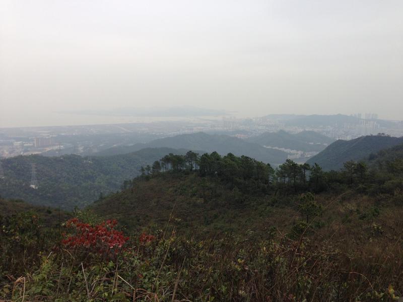 从南山顶能看见山下两山山坳间白色条带状的中大珠海校区及珠海市区。王荣 摄