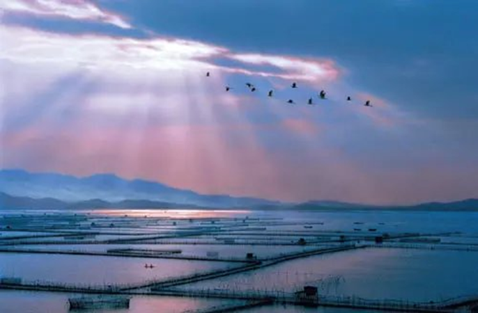 鲜为人知的海丰湿地梦幻仙境