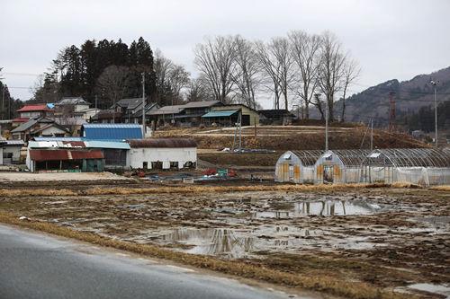 图为2015年3月7日拍摄的日本福岛县饭馆村拍摄的废弃的农田和房屋（新华社记者刘天摄）