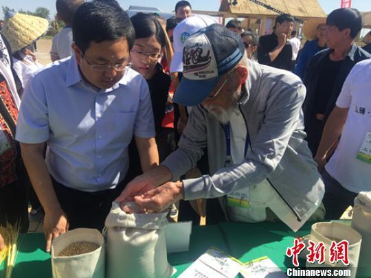 日本“煮饭仙人”村嶋孟在辽宁省盘锦市用盘锦大米煮出“银饭”。图为煮饭前村嶋孟仔细选米。肖欣 摄