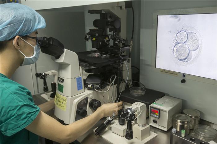 ▲医生在电子显微镜下观察即将冷冻储藏的受精卵胚胎。