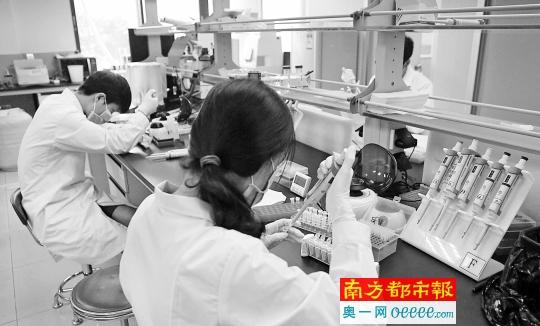 大学城健康产业产学研孵化基地4楼，广州基迪奥生物科技有限公司，研发人员在做实验。