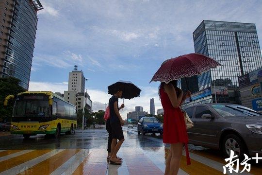 7月5日，东莞南城鸿福路雷阵雨突至，市民撑伞出行，远处的天空依旧蔚蓝。南方日报记者 孙俊杰 摄