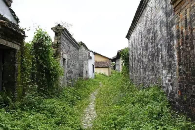 钱岗古村的内景。