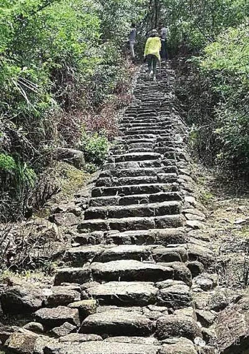 ▲位于潮州饶平县上饶镇第一山上的西片古道“上天梯”。