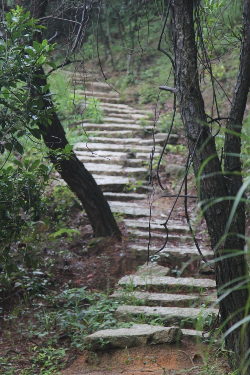 岐澳古道保存有500米古代石阶路。