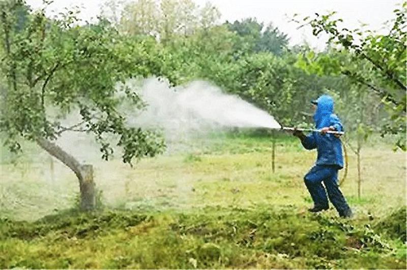 木村在喷醋防虫