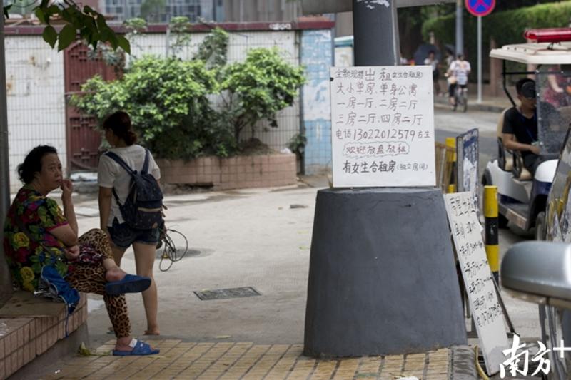 泰兴直街广九大酒店对面，进入小区通道路口挂着许多招租信息。(南都记者 梁炜培 摄)