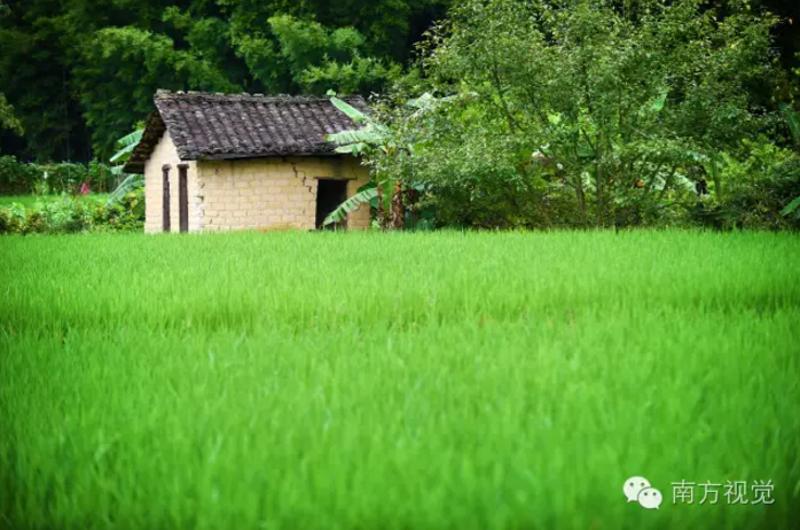 田野中乡间小屋.