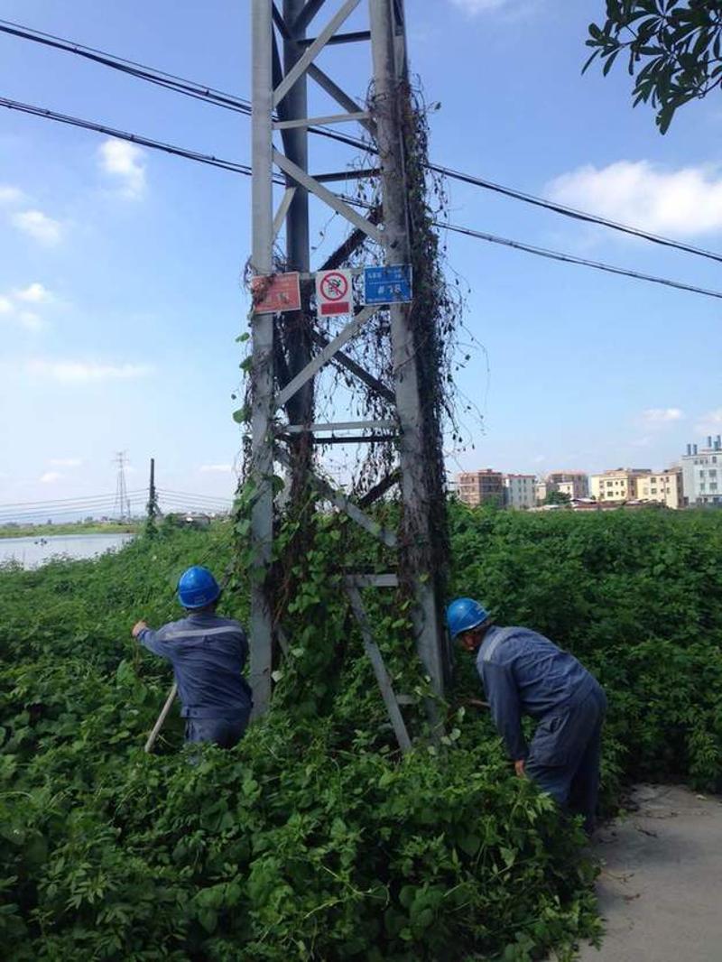 9月14日，为做好各项防御和抢修工作，揭阳揭东供电局严阵以待，全面戒备防御台风来袭。（李尧 摄）