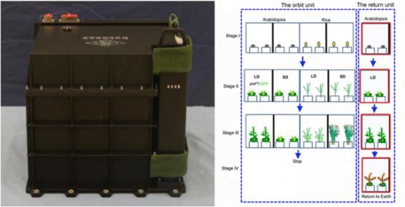 ↑高等植物培养箱（图片来源：中国科学院）