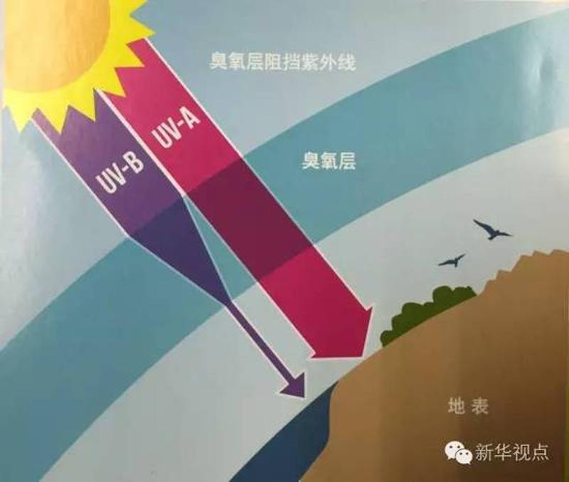 臭氧层示意图。来源：环保部