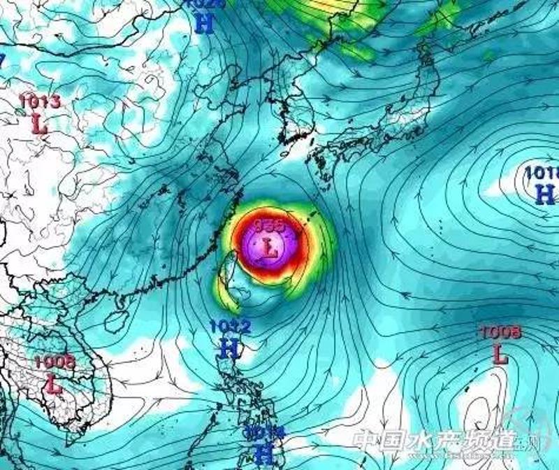 欧洲中心模式预报的9月28日20时850百帕风场和流场图