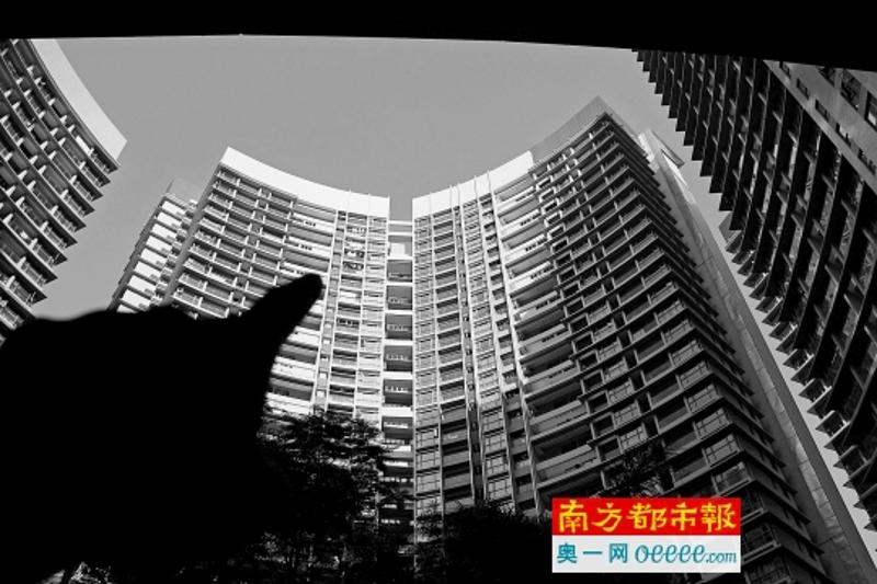 深圳房价高企，七成人口租房，新租房时代来临。 南都资料图片