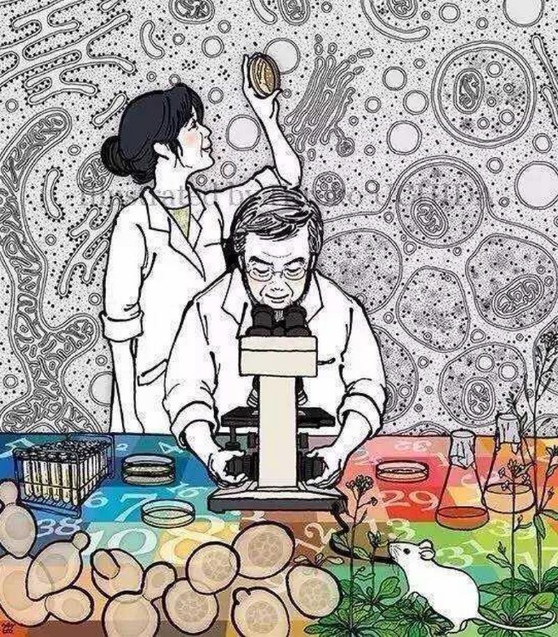 大隅良典门下弟子们早已为他订制画好了庆祝用的专业插画……网友们称他为：搞生命科学的宫崎骏爷爷。