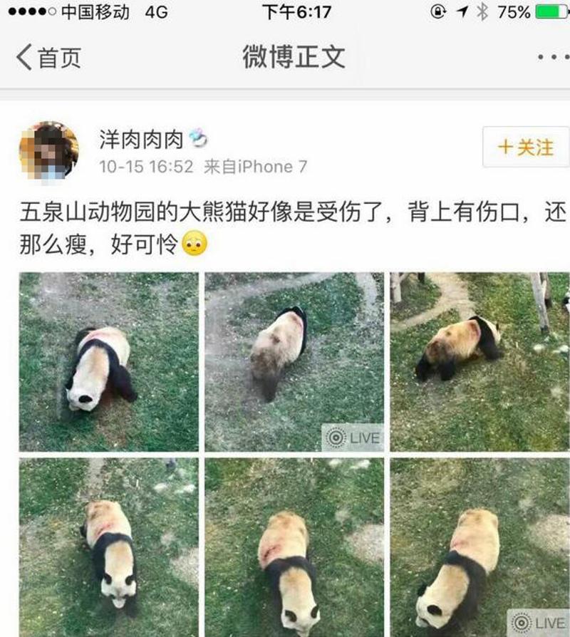 网友微博截图