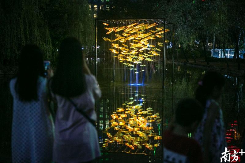 《蝴蝶粤时空》是在湖上放置有挂满蝴蝶造型的灯光装置作品。南方日报记者郭智军 摄