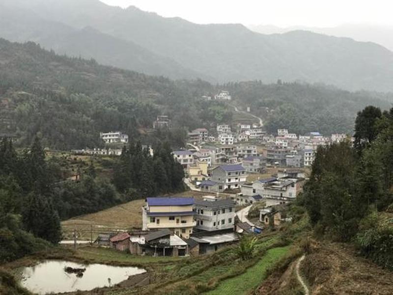 建和村全景。