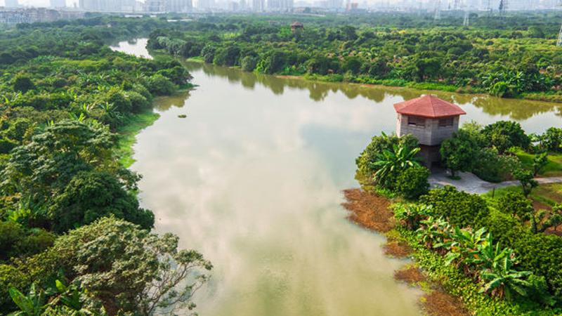 海珠湿地