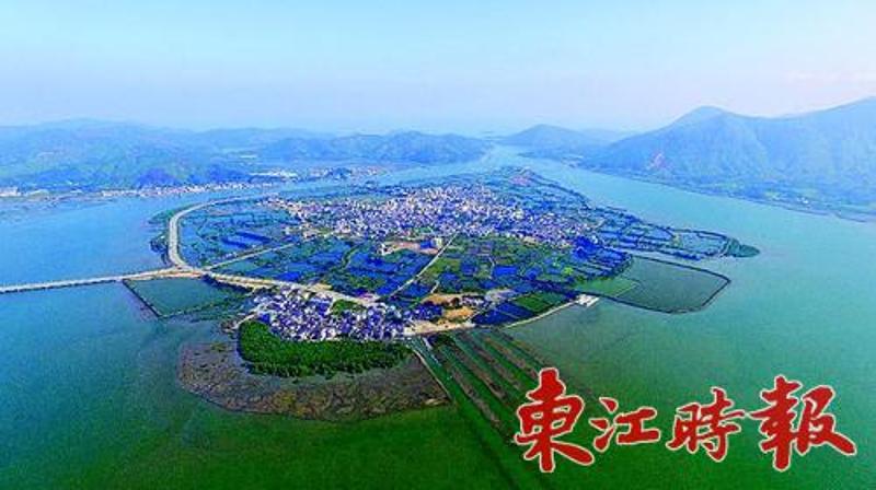 惠州考洲洋将建成全国最大的红树林种植基地