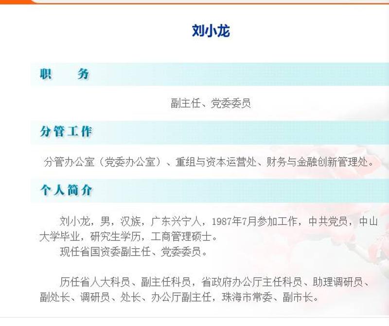 广东省国资委官网截图