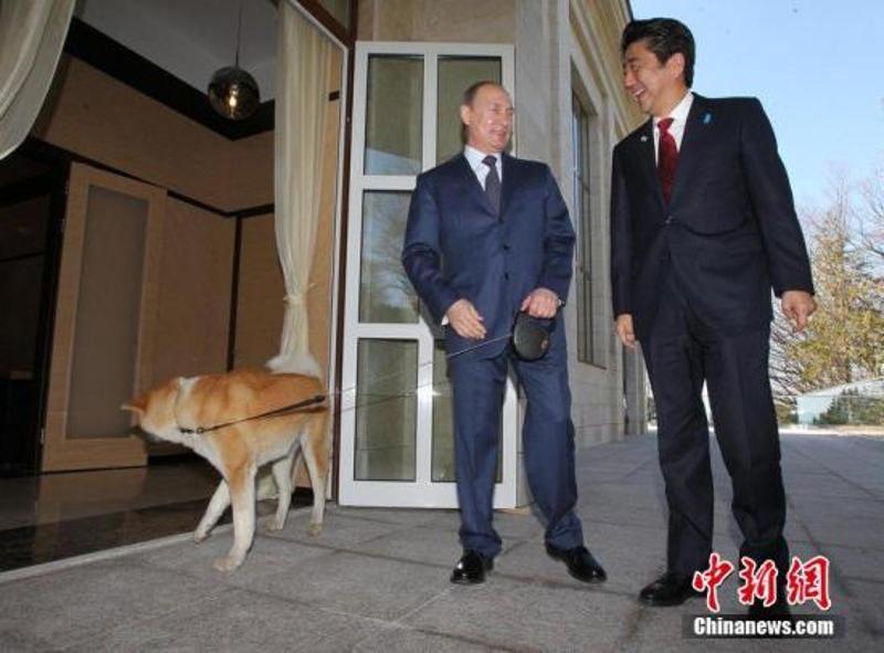 当地时间2014年2月8日，普京会晤到访的日本首相安倍晋三。