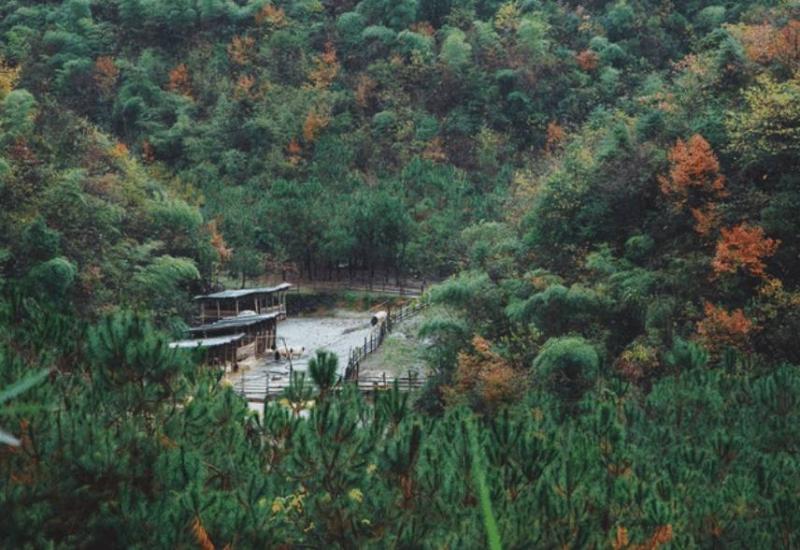 我和中国农业科学院的专家团队转遍了莫干山、天目山、青山湖和富阳等地方才找到这里。领队专家说，这里适合“高山林、中山茶、低山果、水中鱼”的立体生态，从山底到山顶，生态格局完美。