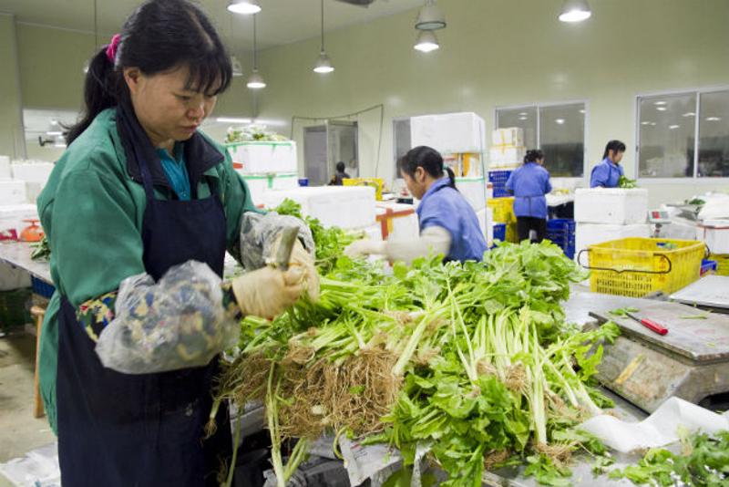 《惠州市食品药品安全“十三五”规划》提出建立和完善食品质量的入市、交易、退市全程监管机制。南方日报记者 王昌辉 摄