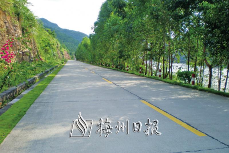 宽敞绿美的农村公路，图为县道三松线大埔段