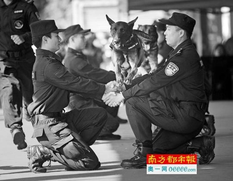 现场警犬表演。南方日报供图