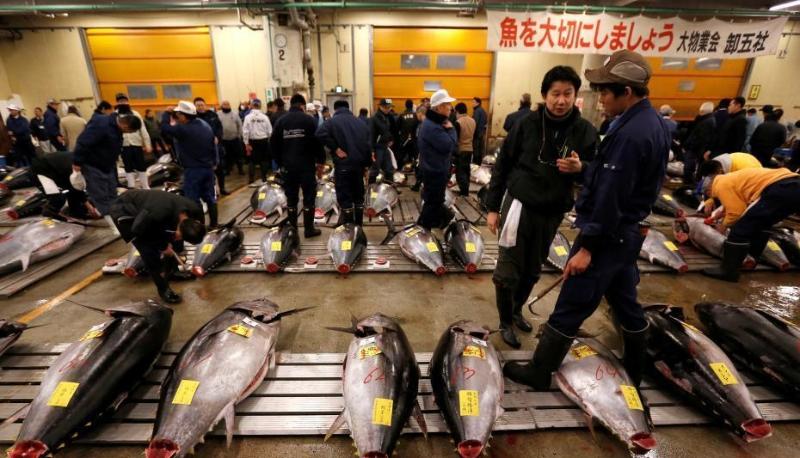 日本水产市场开市,巨型金枪鱼7400万日元成交