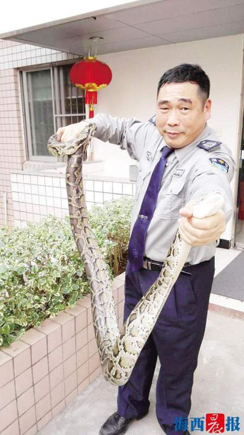 2米长蟒蛇
