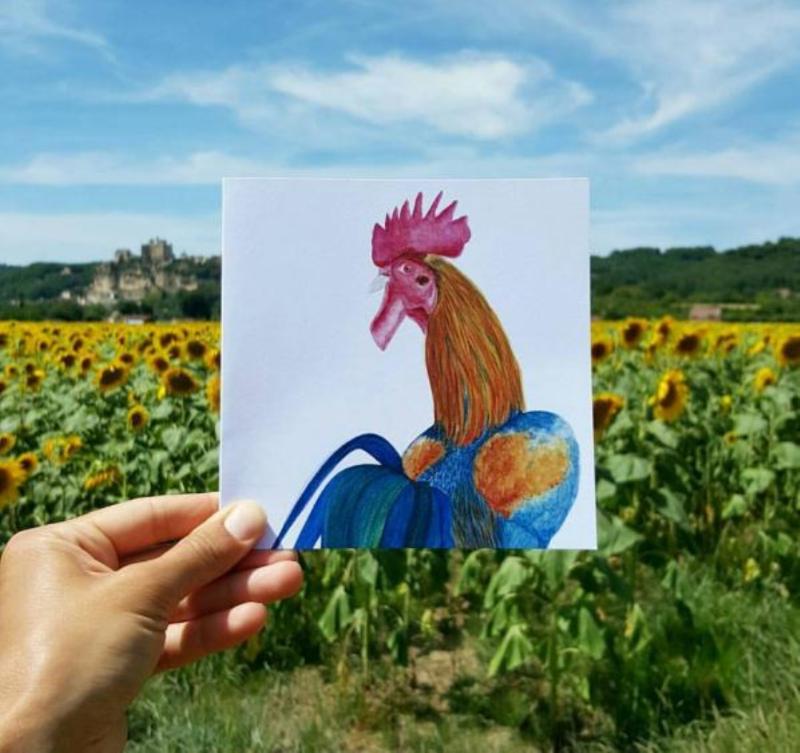 一位在澳大利亚墨尔本的专职动物肖像画师 Daniella Lo Presti 设计了一款鸡年贺卡，贺卡上的鸡妖娆的犹如一只孔雀，在油菜花田里回眸。