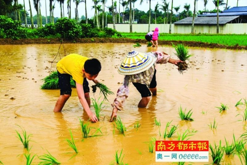 博罗很多乡村都结合农业特色发展乡村旅游。