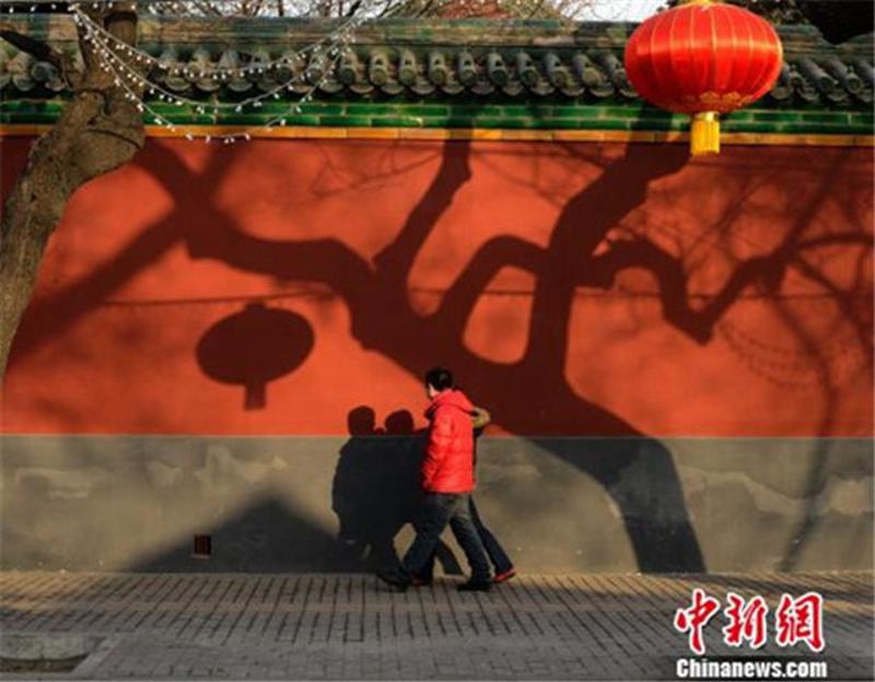 北京市民早春时节迎“破五”。中新社发 侯宇 摄