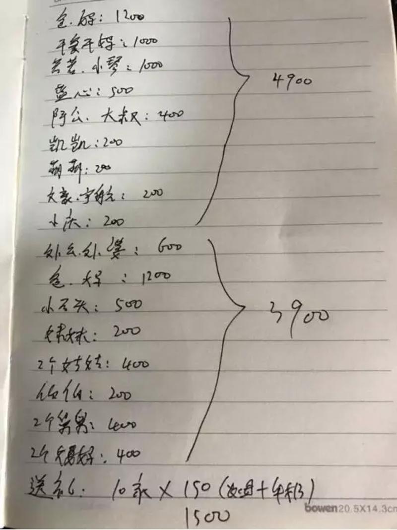 小霖的春节账单 图片来源：重庆晚报