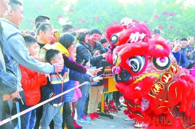 在三水大塘新春活动中，市民游客争相摸狮头。/佛山日报记者杨立韵摄 