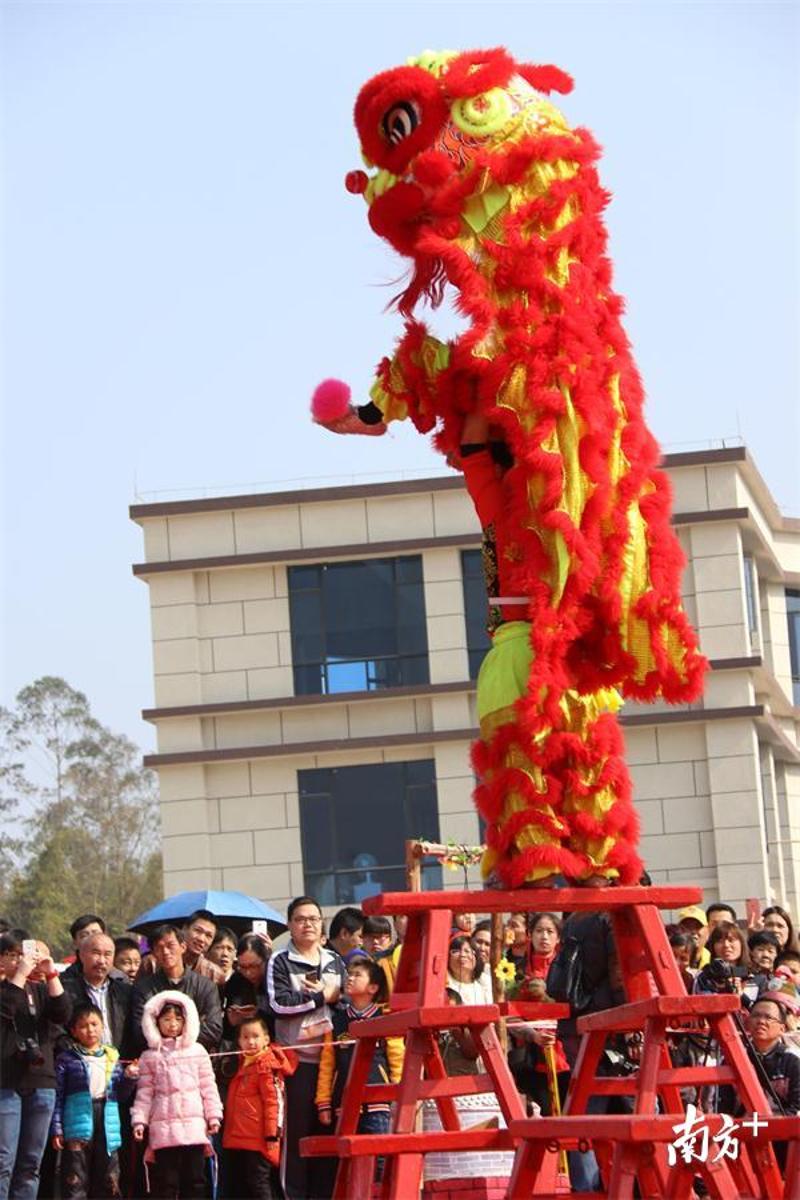 图为舞狮表演