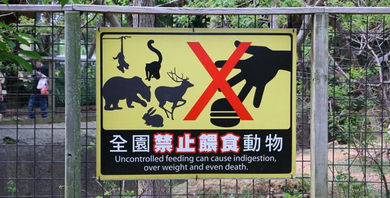 动物园不能随便投喂动物?告诉你这是为什么