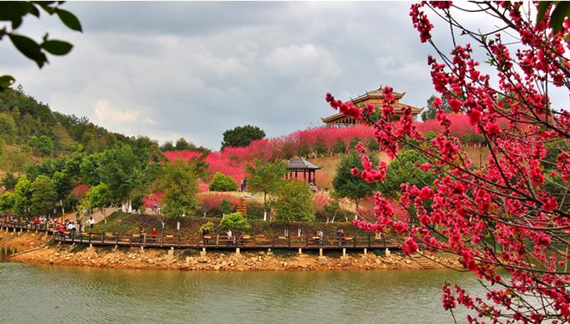 文化产业园区称号,被梅州市评为"梅州十八景""梅州十佳赏花景区"之一