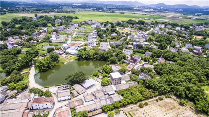 绿水青山环绕着的龙塘村。南方日报记者 王昌辉 摄 