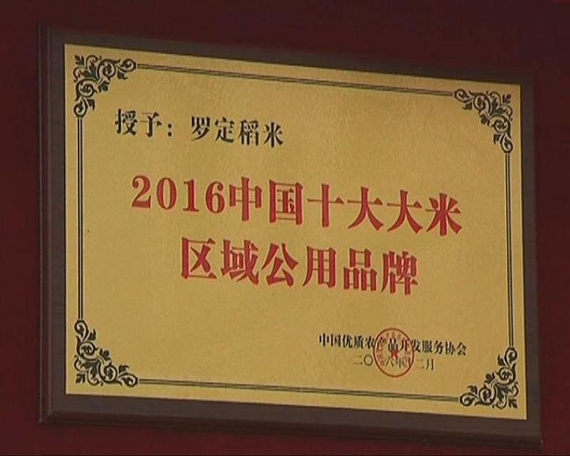 首届“广东好大米”十大品牌揭晓 罗定亚灿米、聚龙米、青洲米三大品牌上榜(图5)