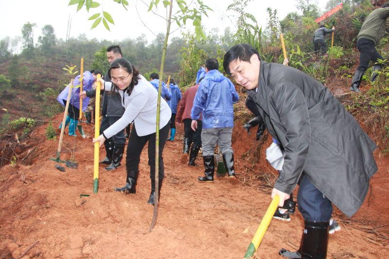 封开: 干群义务植树 全民挥锹为大地添绿