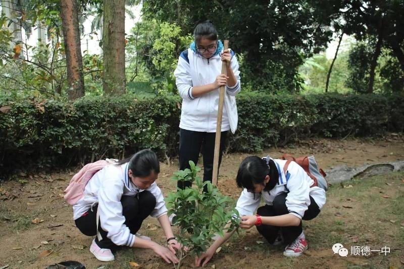 我校团委书记廖伟梁老师为同学们详细讲解了各类工具的用途,植树的