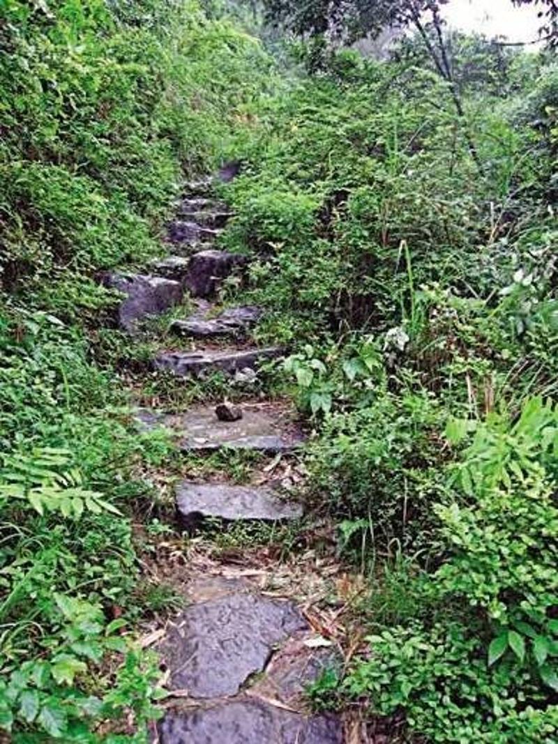 阳山秤架乡古驿道