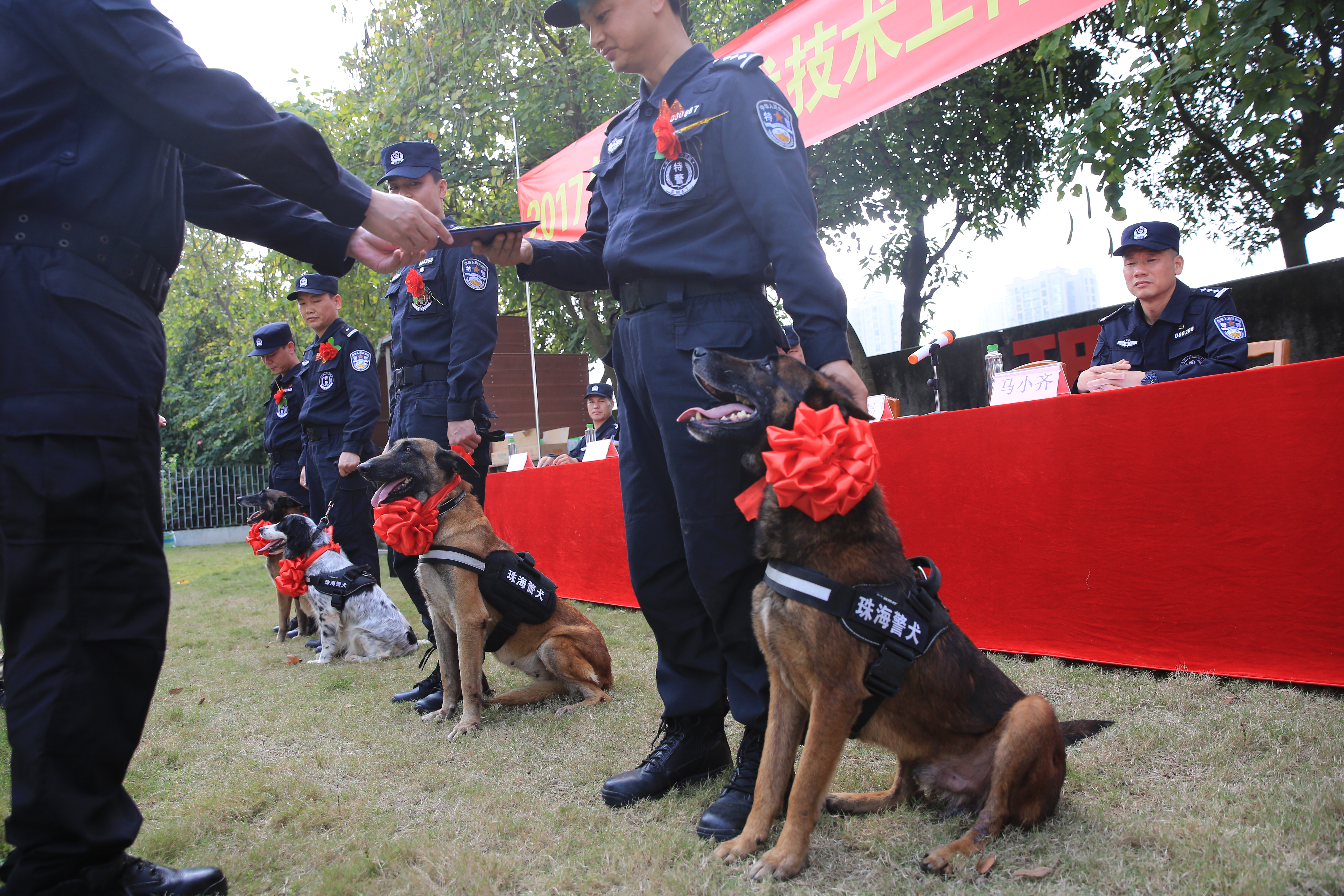 区,市)日前召开的2017年警犬工作会议上,珠海市公安局警犬技术大队被